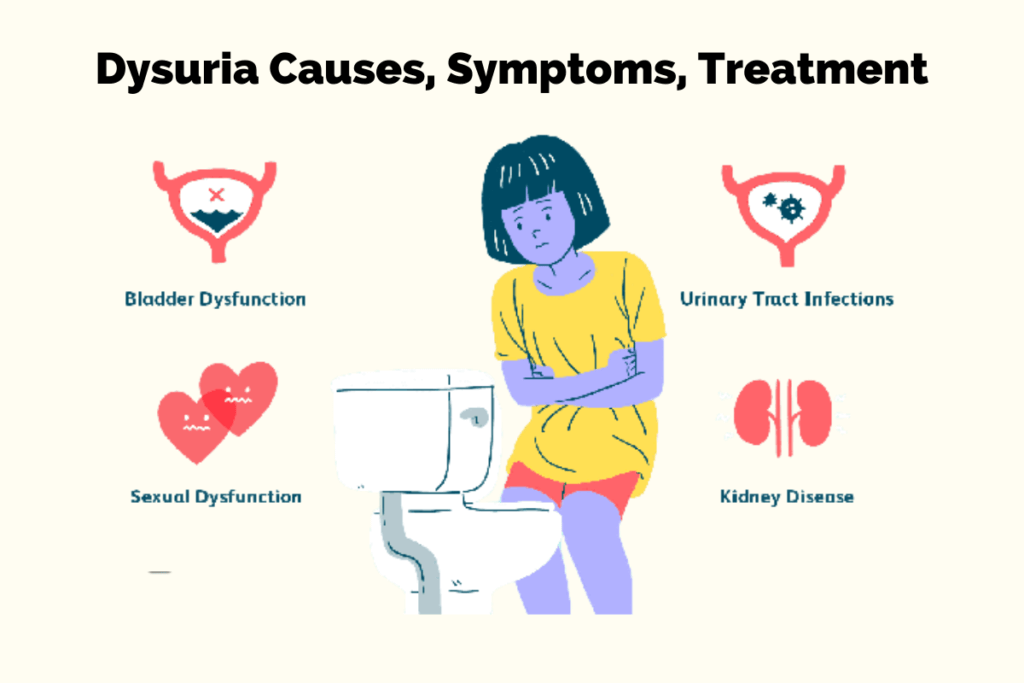 Dysuria: Causes, Symptoms, Treatment 1 Dysuria
