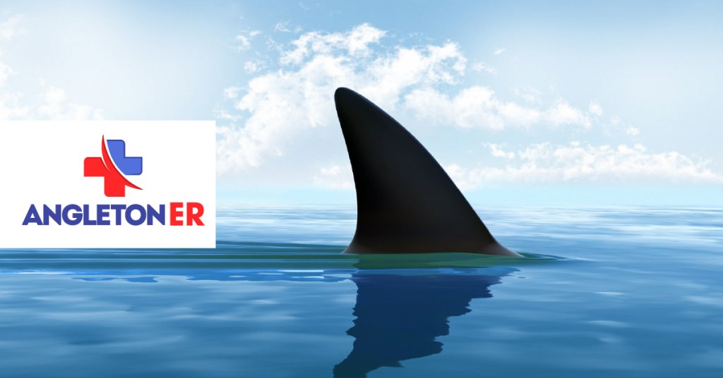 Potential Dangers of Swimming in the Sea 1 The Thrills and Potential Dangers of Swimming in the Sea