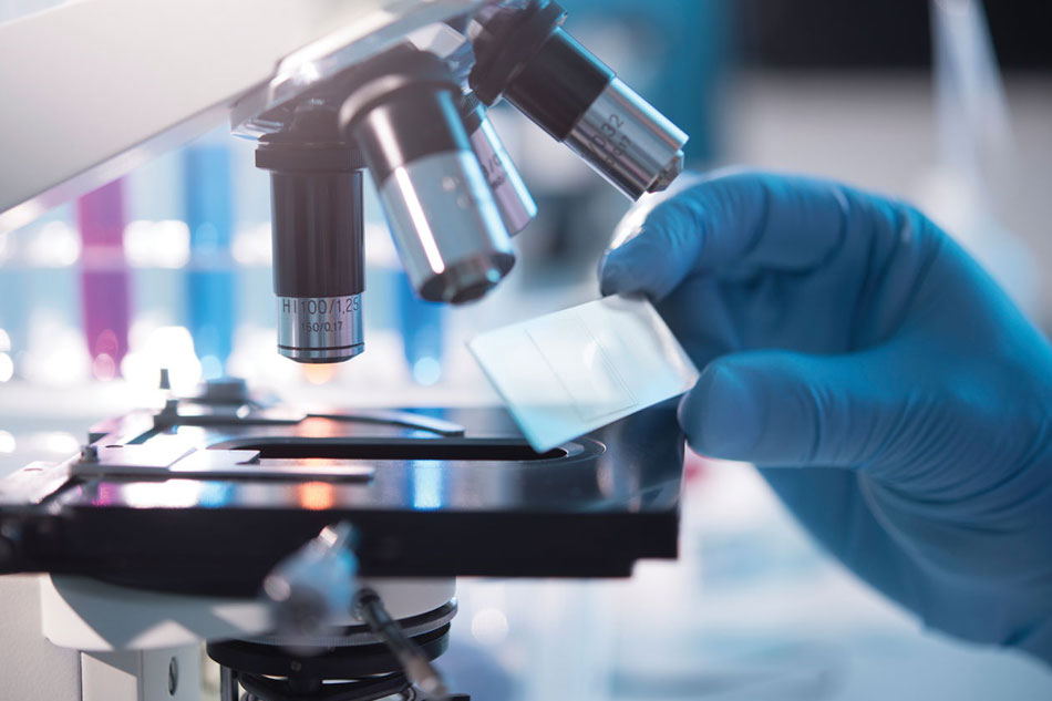 Lab Services 1 LaboratoryServices 48