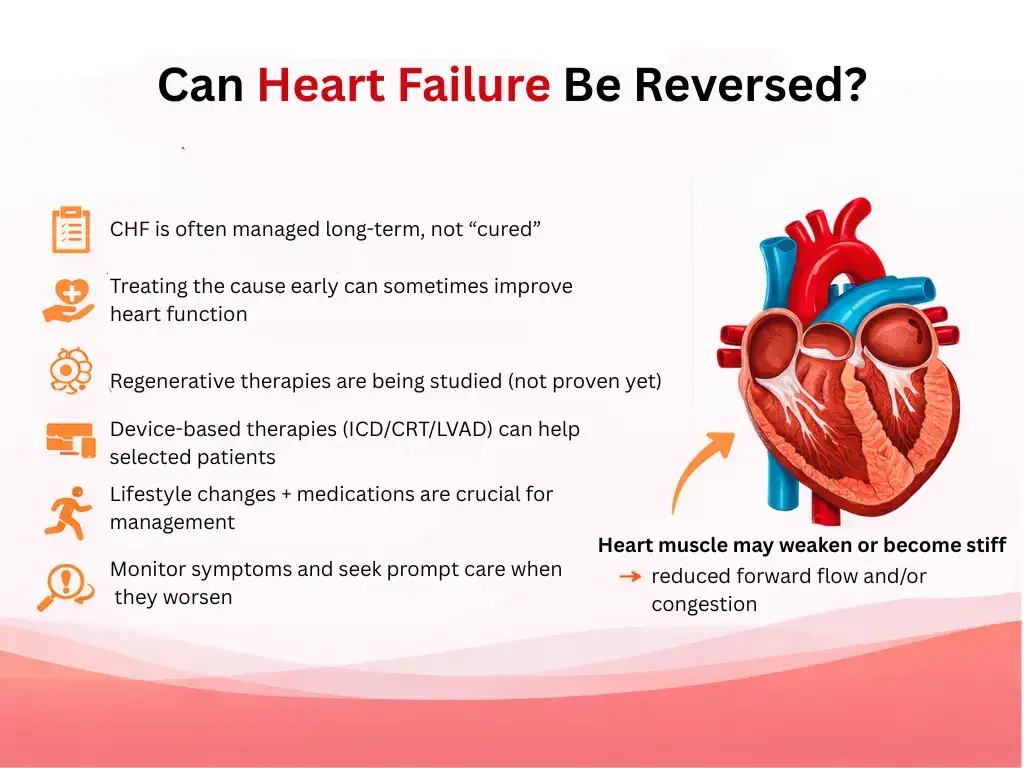Can Heart Failure Be Reversed? What “Reversible” Really Means (and What Helps Most) 1 Infographic titled “Can Heart Failure Be Reversed?” showing a heart diagram and explaining that heart failure is usually managed long-term (not “cured”), but heart function may improve with early cause treatment, medications and lifestyle changes, and selected devices (ICD/CRT/LVAD); notes that a weakened or stiff heart can reduce forward flow and cause congestion.