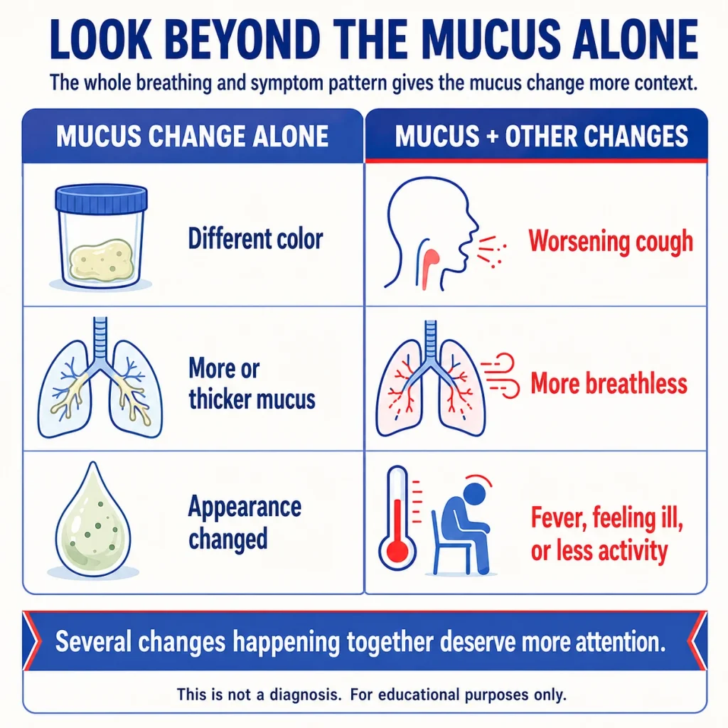 COPD phlegm and mucus changes infographic showing different mucus color, thicker mucus, worsening cough, increased breathlessness, fever, and reduced activity.
