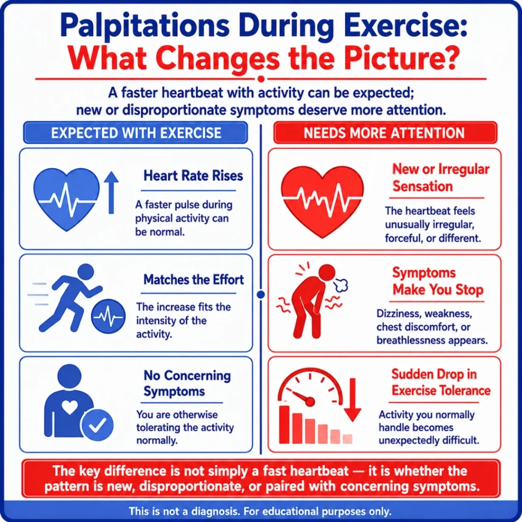 Heart Palpitations With Dizziness, Nausea, Fatigue, or Exercise: When to Get Checked 1 Infographic about heart palpitations during exercise, comparing expected heart rate increases with warning signs like irregular heartbeat, dizziness, weakness, chest discomfort, and reduced exercise tolerance.